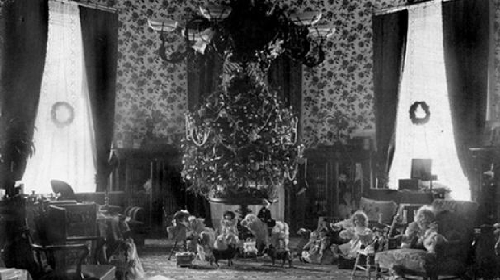 history of white house christmas trees wjla history of white house christmas trees wjla