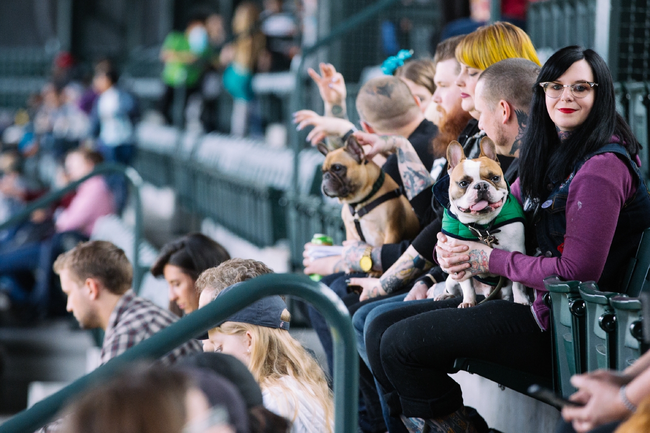 Who Let The Dogs In (To Safeco Field)? Mariners Host Bark in the Park