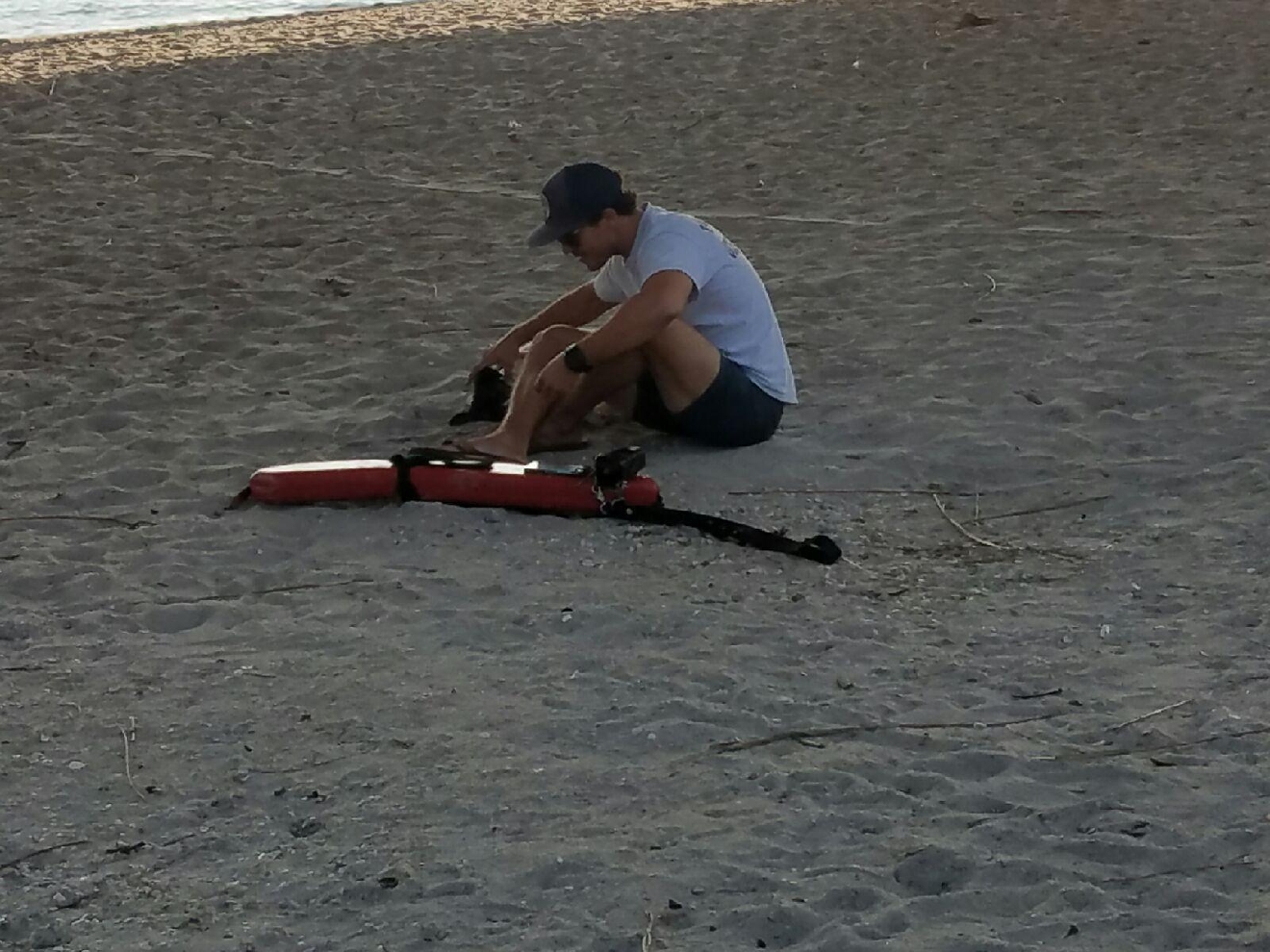 Dog seriously injured after being thrown off Florida bridge WJLA