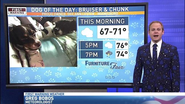 Friday 5/4 Dog of the Day