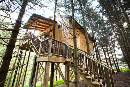 Stay In This Treehouse When You Take That Overnight Trip To Amish