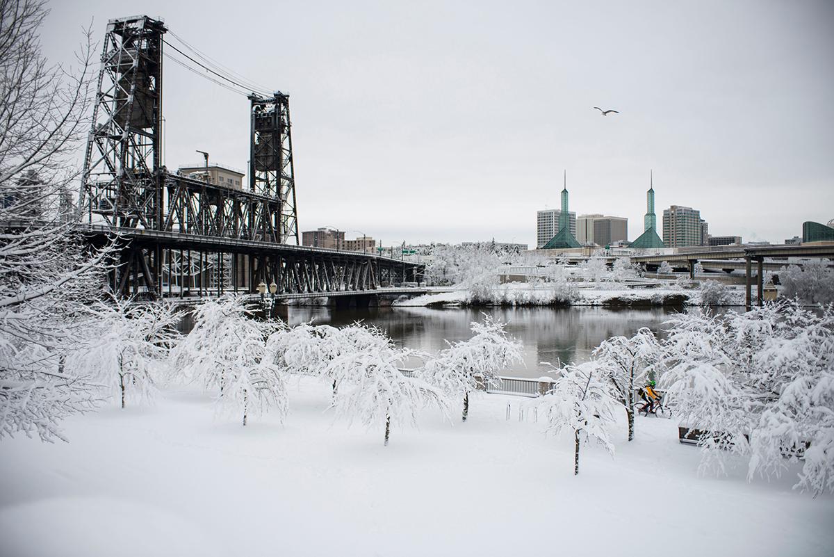 Snowlandia Scenes of Portland's surprise snow day KATU