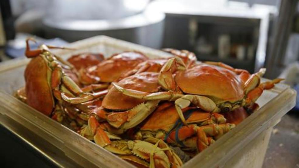 Commercial Dungeness crab season delayed at least 15 days | KATU