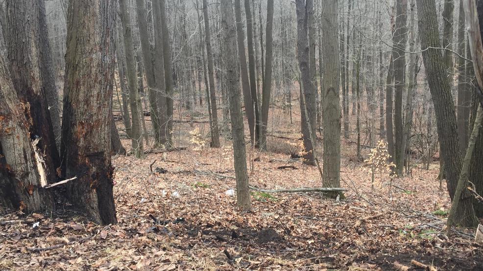 Nanty Glo man who died in crash identified WJAC