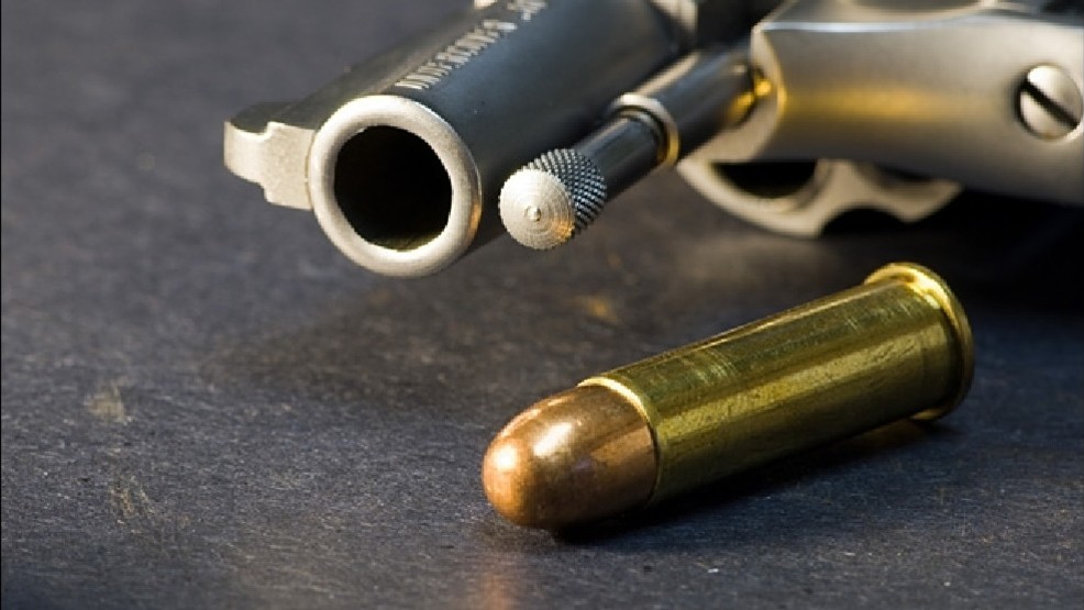 f48cac6d-90b1-46a7-a46f-a82038a7e121-120601_handgun_pistol_2.jpg f48cac6d-90b1-46a7-a46f-a82038a7e121-120601_handgun_pistol_2.jpg