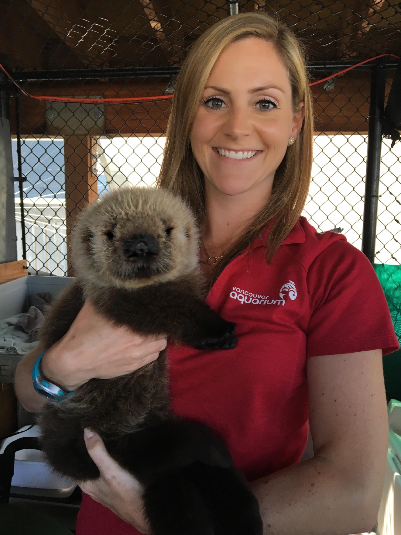 Stranded otter pup nursed to health in Seattle finds forever home in