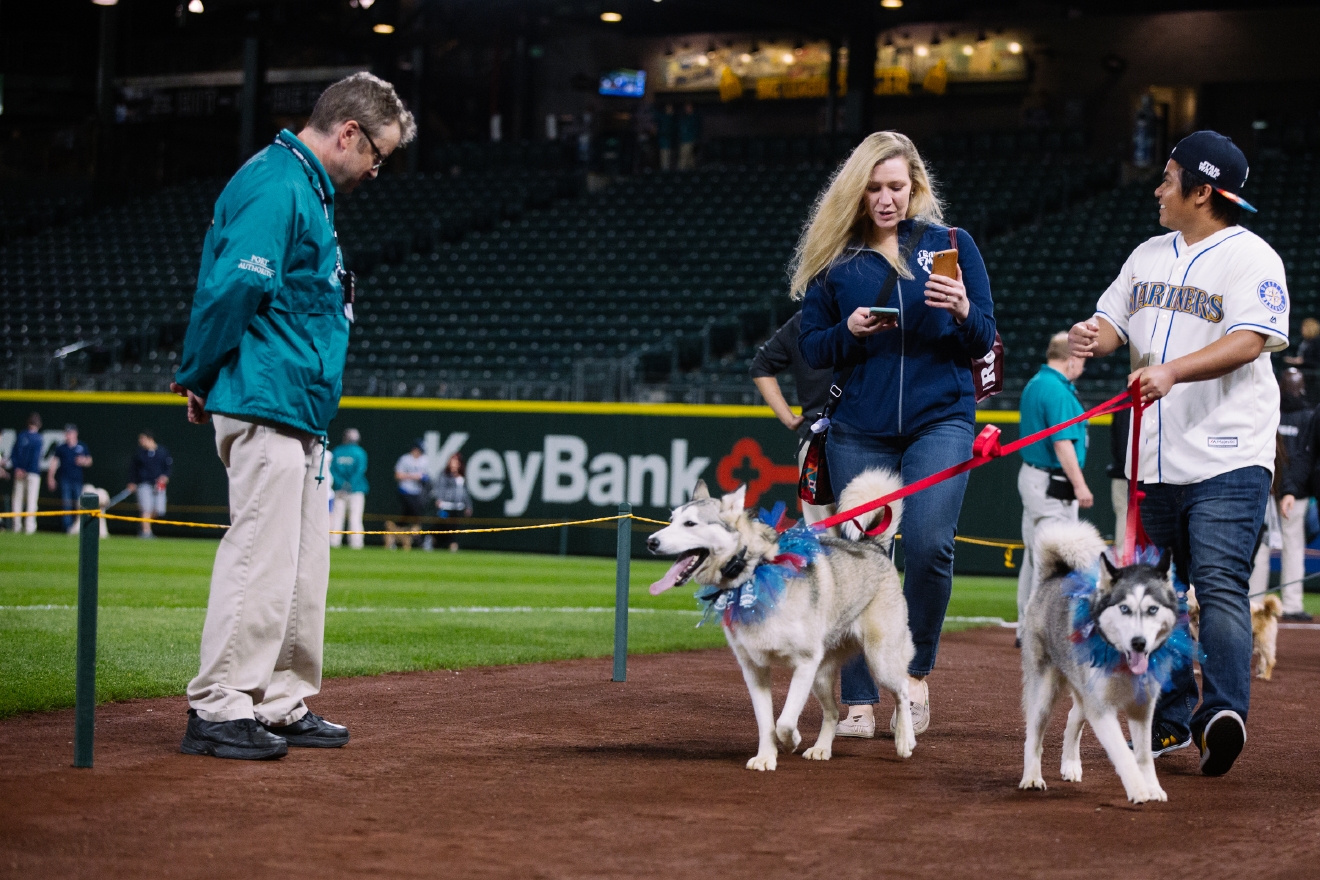 Who Let The Dogs In (To Safeco Field)? Mariners Host Bark in the Park