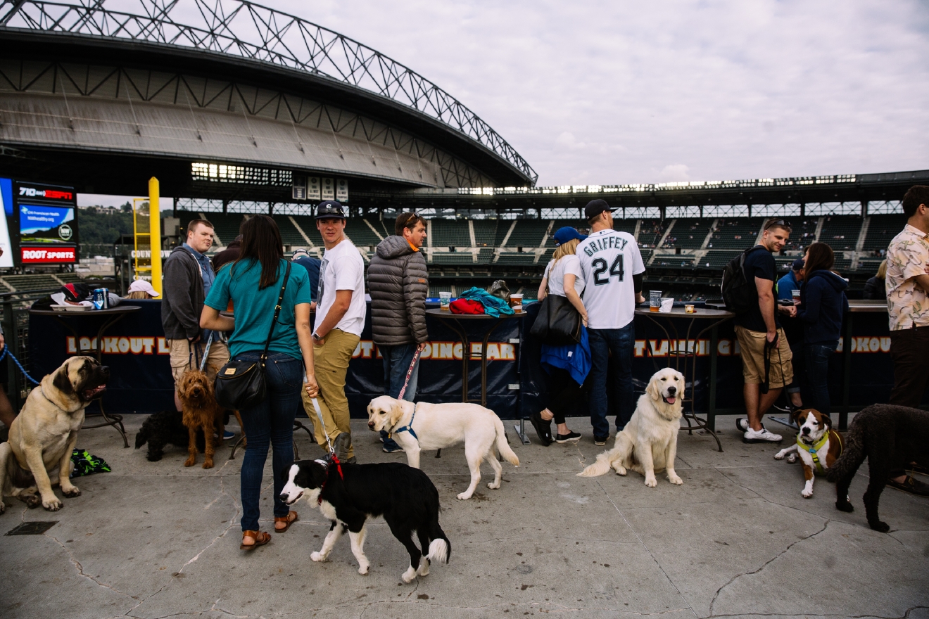 Who Let The Dogs In (To Safeco Field)? Mariners Host Bark in the Park