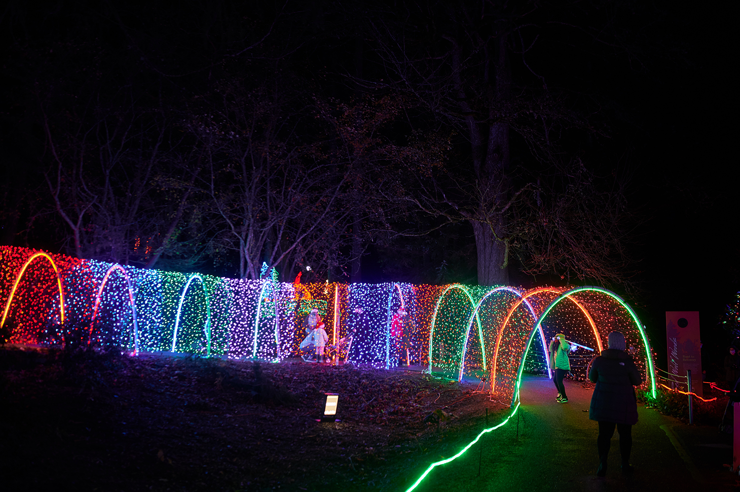 Photos A Walking Tour of ZooLights at Point Defiance Zoo & Aquarium