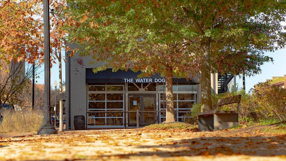 Lynchburg's The Water Dog gets 'Restaurant of the Year' award WSET