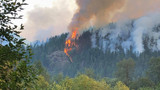 Maple fire grows to 995 acres in Olympic National Forest