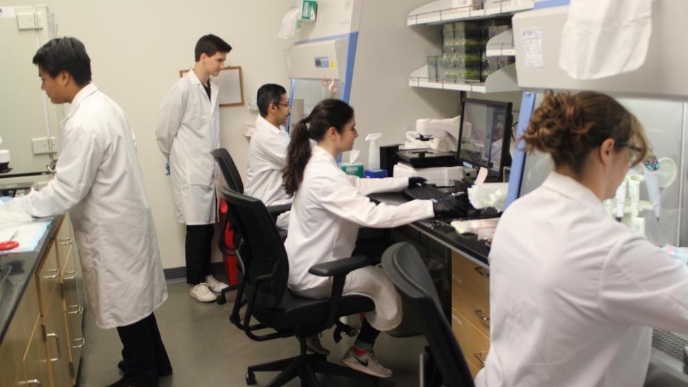 New treatments for cystic fibrosis