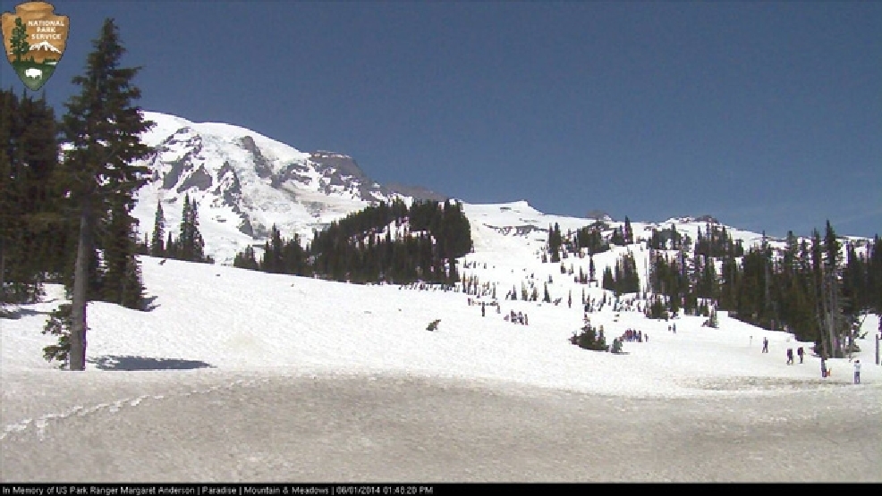 Current snowpack at Paradise Ranger Station among best in last 31 years