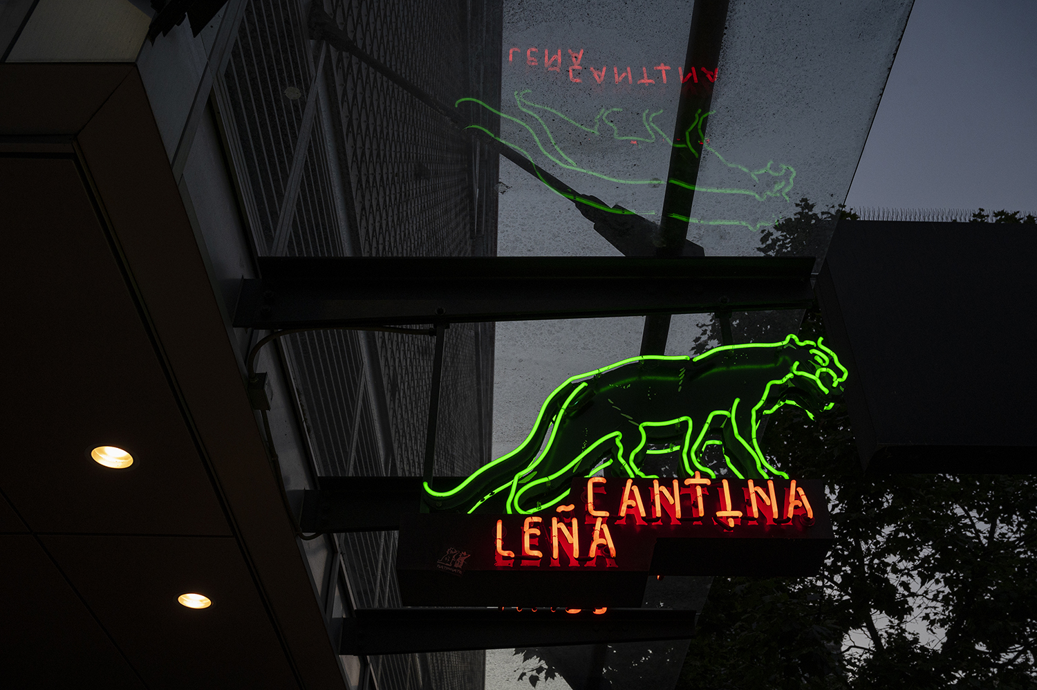 Electric Feel Seattle's Best Neon Signs Seattle Refined