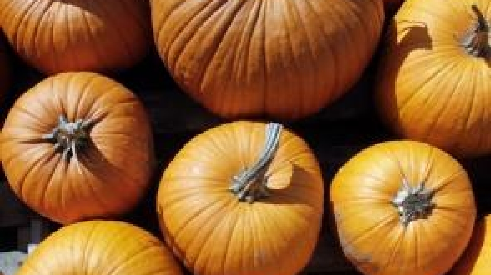 pumpkin_halloween_ap(1)_296.jpg