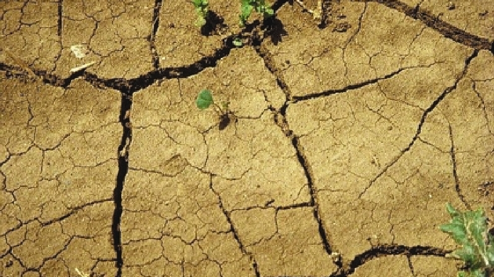 drought.jpg