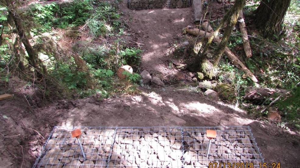 Temporary Closure Of Cedar Creek Portion Of Brice Creek Trail Kval