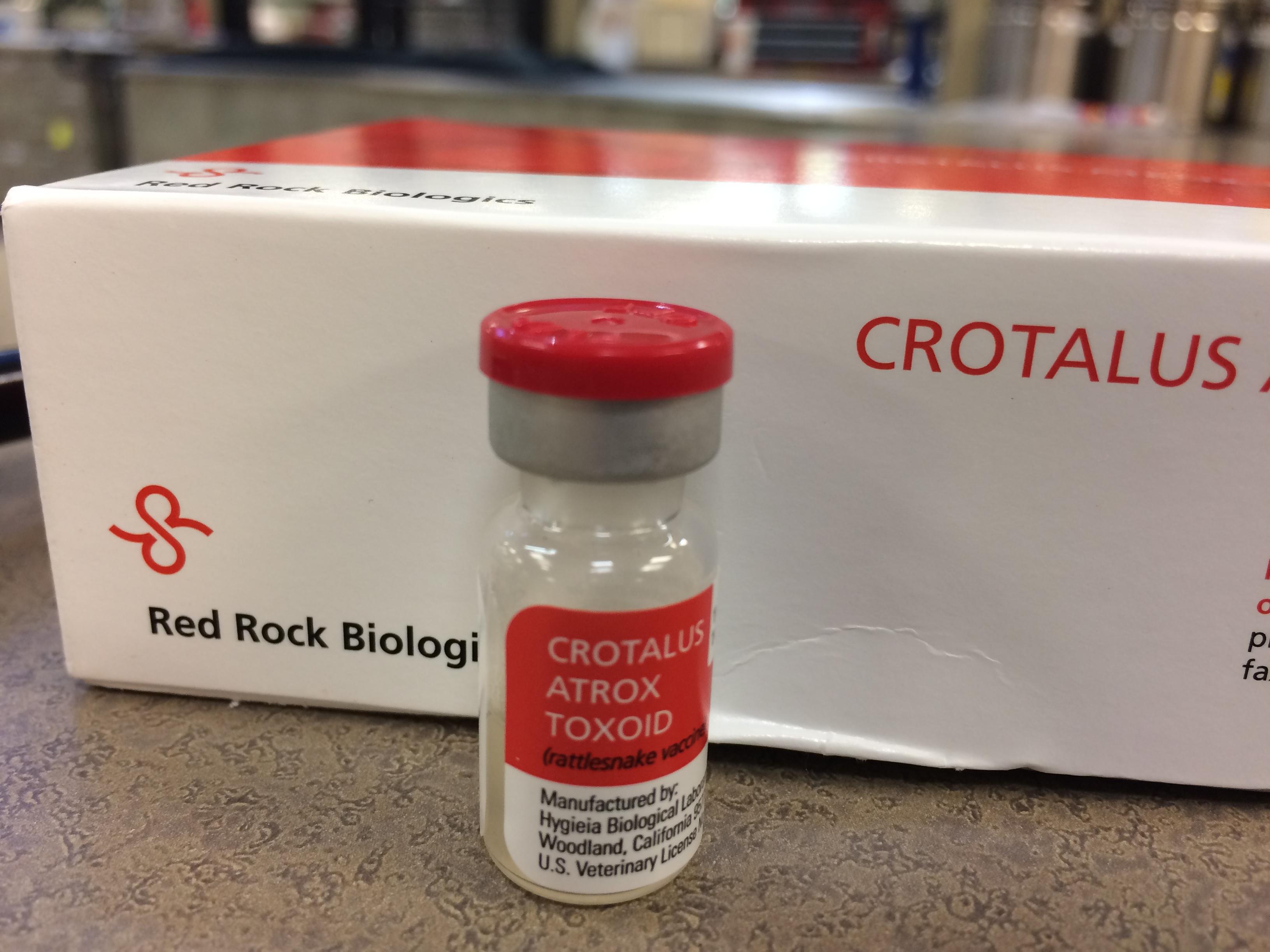 Snake bites and sightings on the rise across WNC WLOS