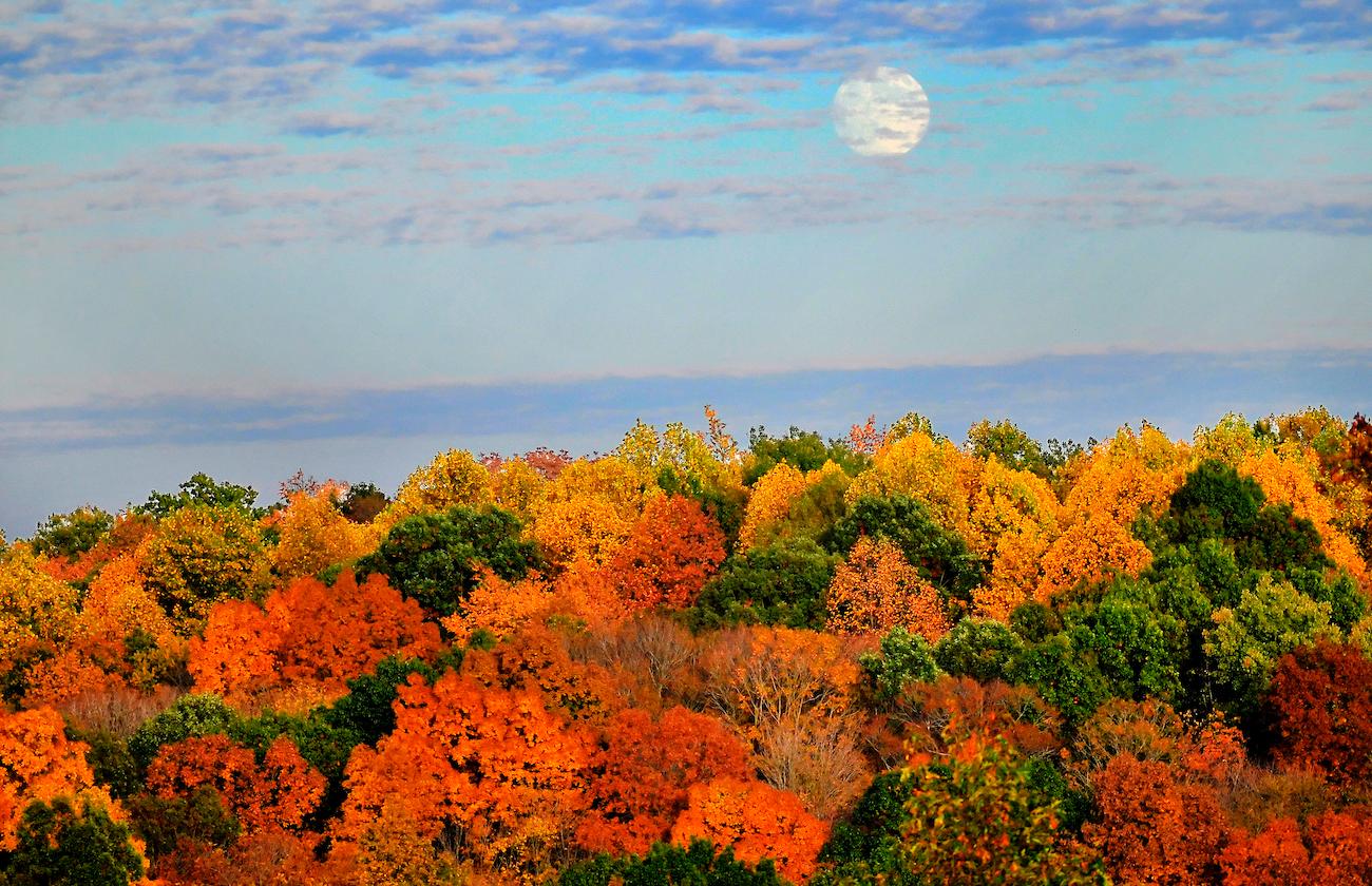 The Most Photogenic Fall Foliage You Can Find Within a 300 Mile Radius