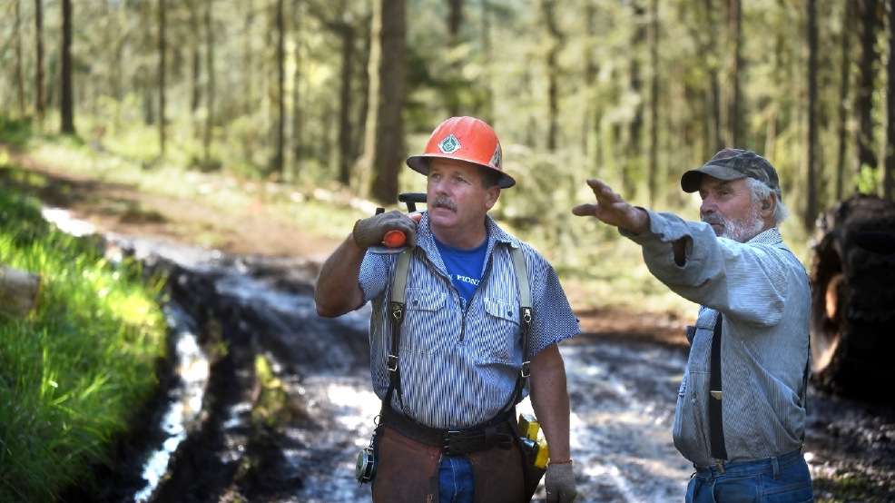Trees more than a crop for Sweet Home logger, tree farmer KVAL