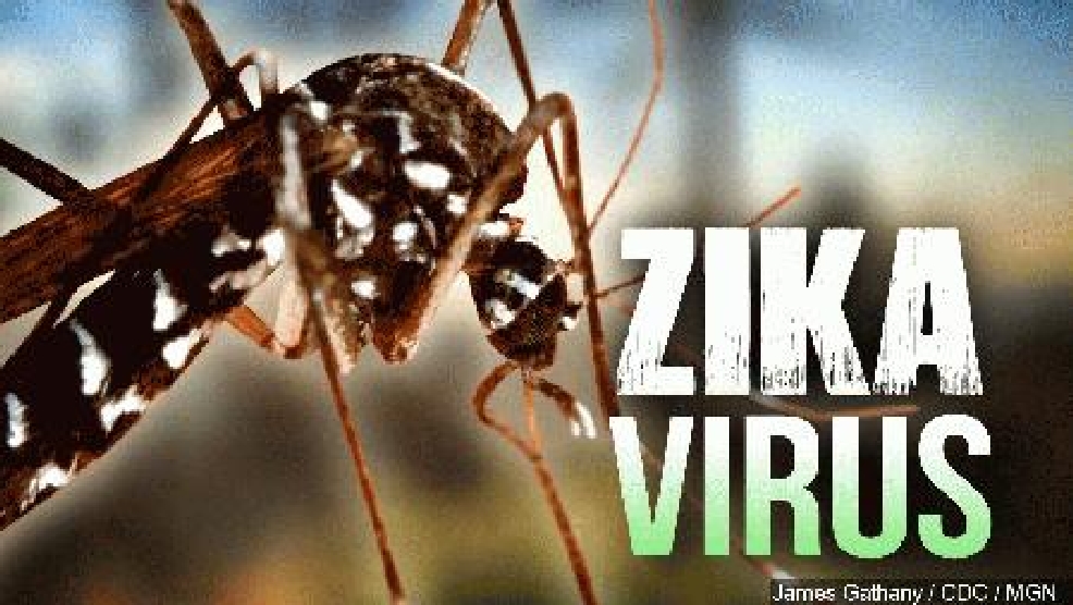 zika-virus-mgn_9479.jpg