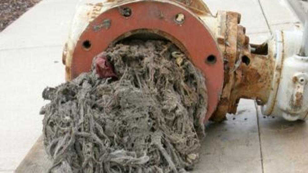 biodegradable wet wipes