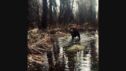 Man Who Survived Weeks In Alaskan Wilderness Now Back With